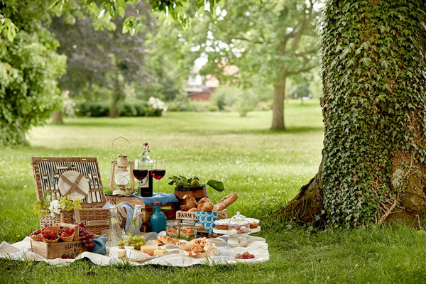 picnic