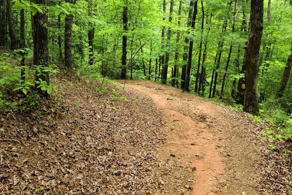 unicoi trail