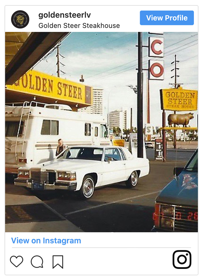 golden steer