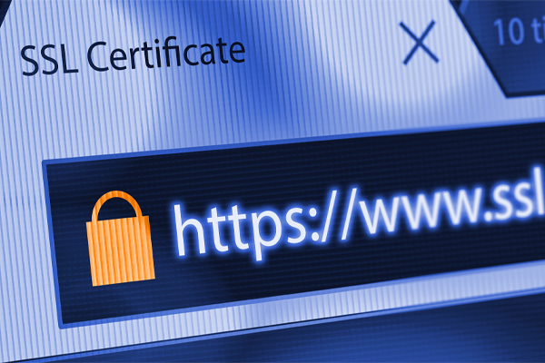 What is an SSL and how Much Should it Cost?